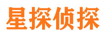 东坡侦探